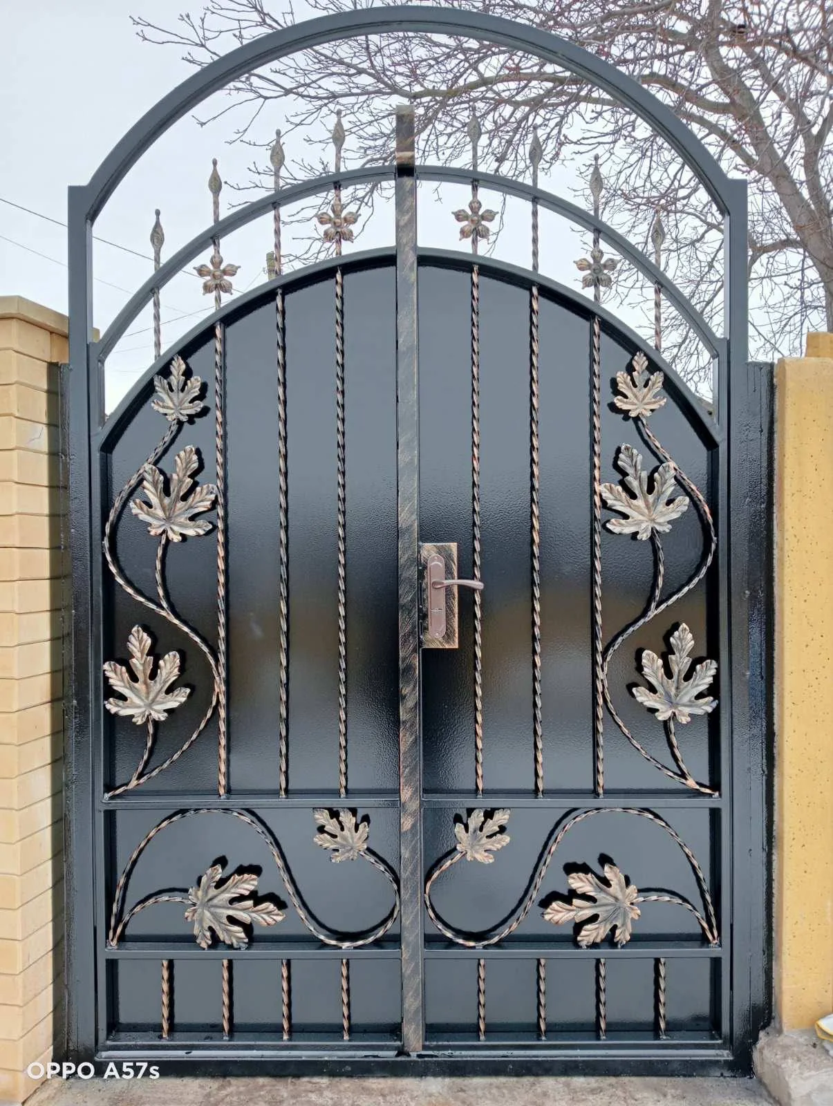 Porți P235 — fotografie din portofoliul gardporti.md