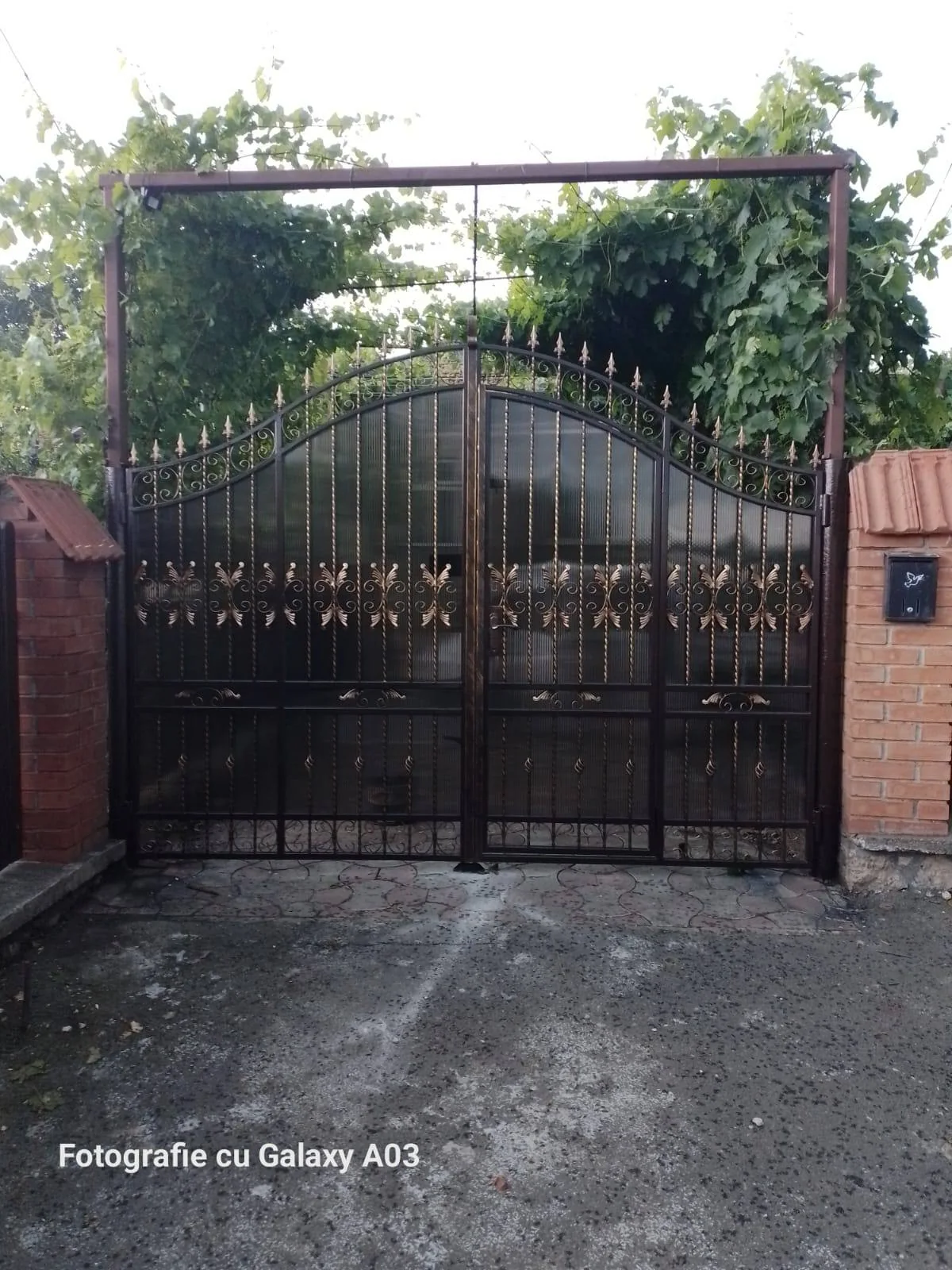 Porți P89 — fotografie din portofoliul gardporti.md